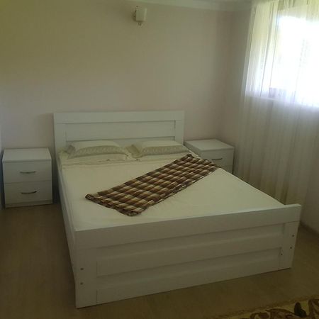 Hotel Shaumiani كوتايسي المظهر الخارجي الصورة